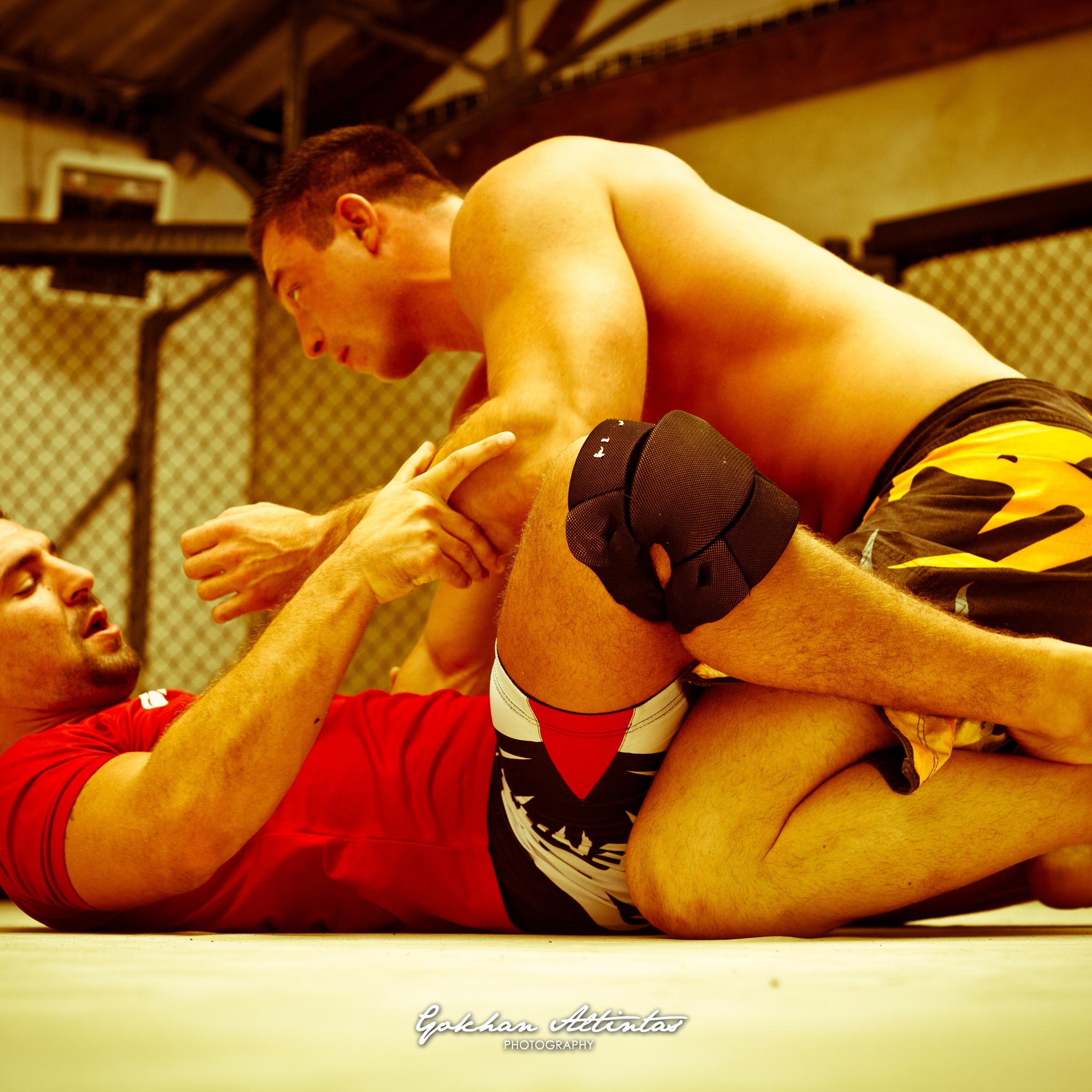 Seism Academy Free Fight UFC Entrainement