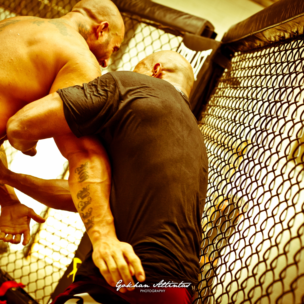 Seism Academy Free Fight UFC Entrainement