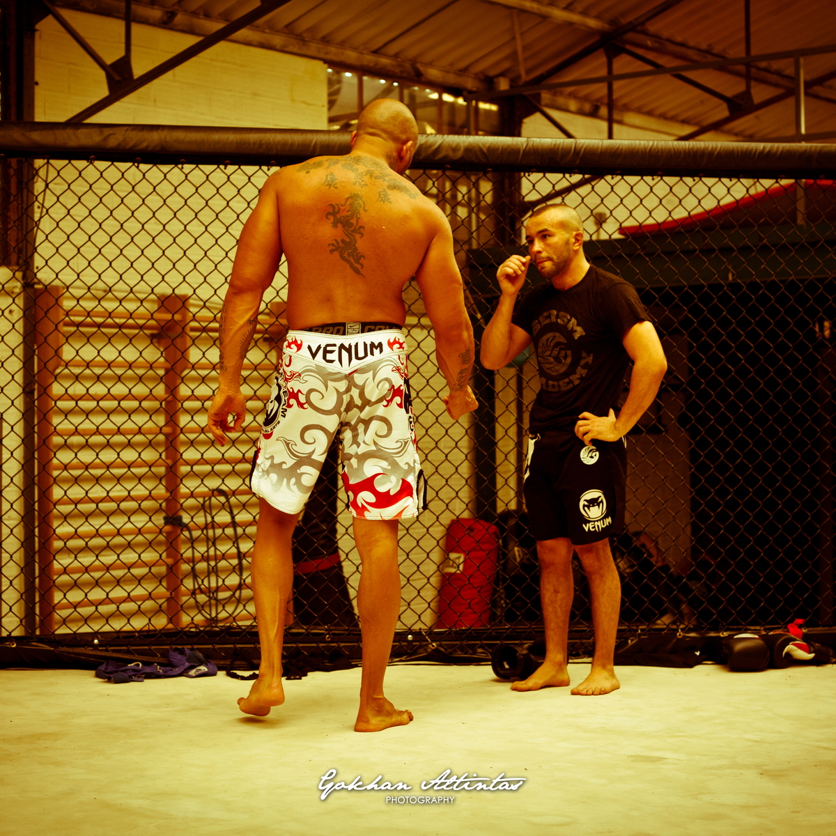 Seism Academy Free Fight UFC Entrainement