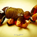 Seism Academy Free Fight UFC Entrainement
