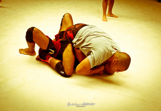 Seism Academy Free Fight UFC Entrainement