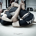Seism Academy Free Fight UFC Entrainement