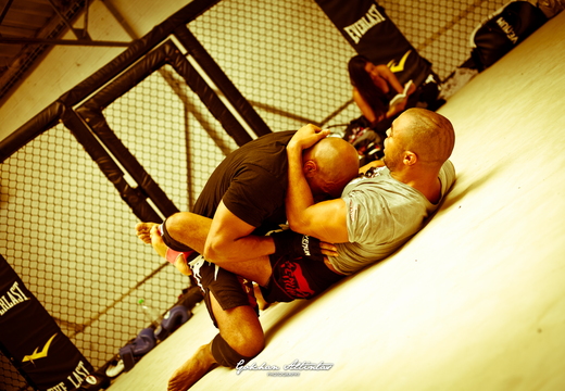 Seism Academy Free Fight UFC Entrainement