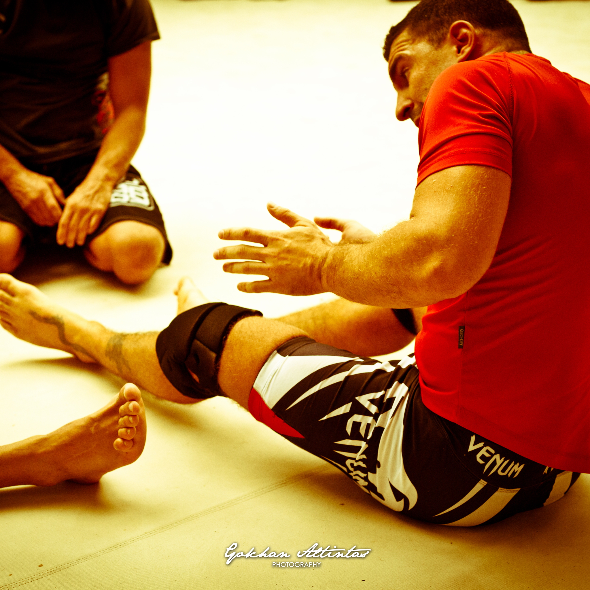 Seism Academy Free Fight UFC Entrainement