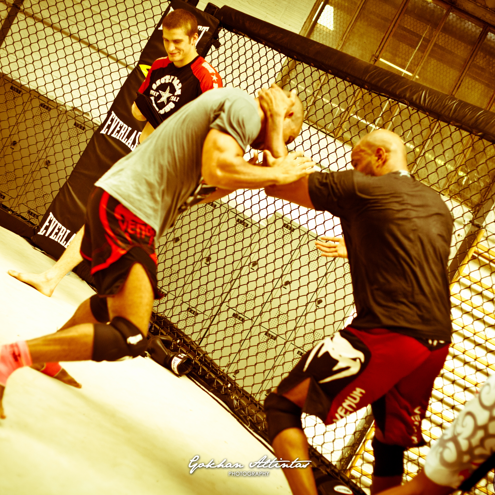 Seism Academy Free Fight UFC Entrainement