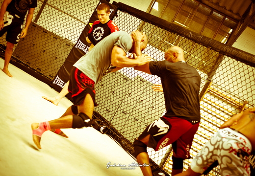 Seism Academy Free Fight UFC Entrainement