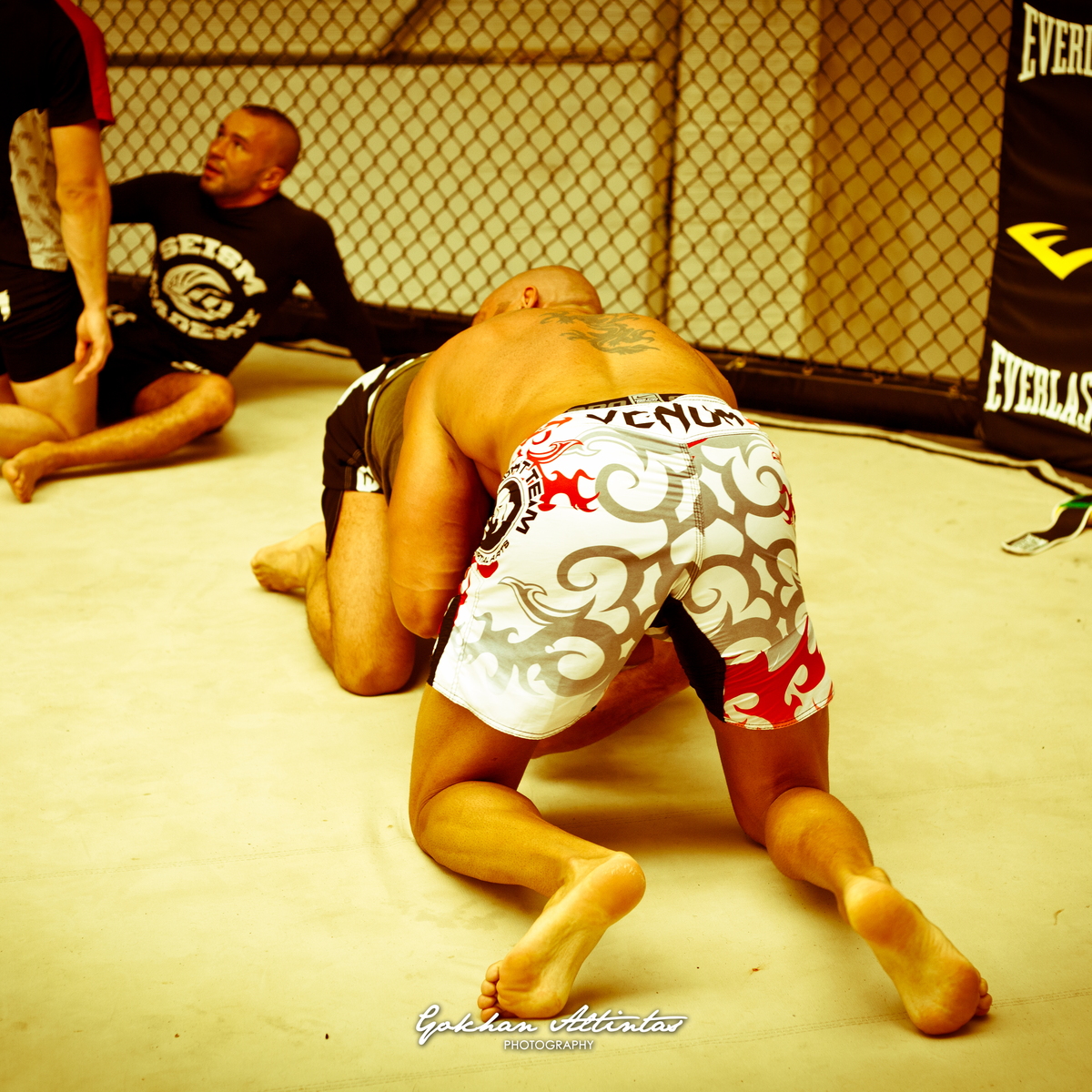 Seism Academy Free Fight UFC Entrainement