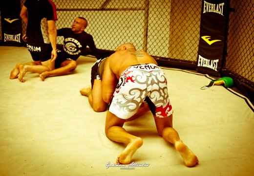 Seism Academy Free Fight UFC Entrainement