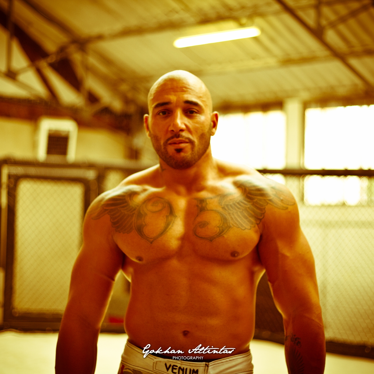 Seism Academy Free Fight UFC Entrainement