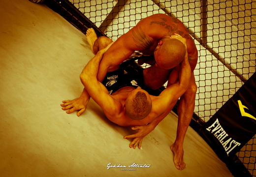 Seism Academy Free Fight UFC Entrainement