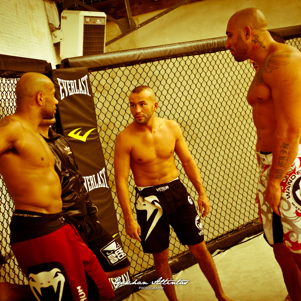 Seism Academy Free Fight UFC Entrainement