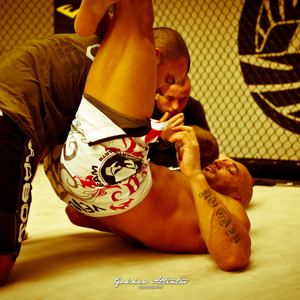 Seism Academy Free Fight UFC Entrainement