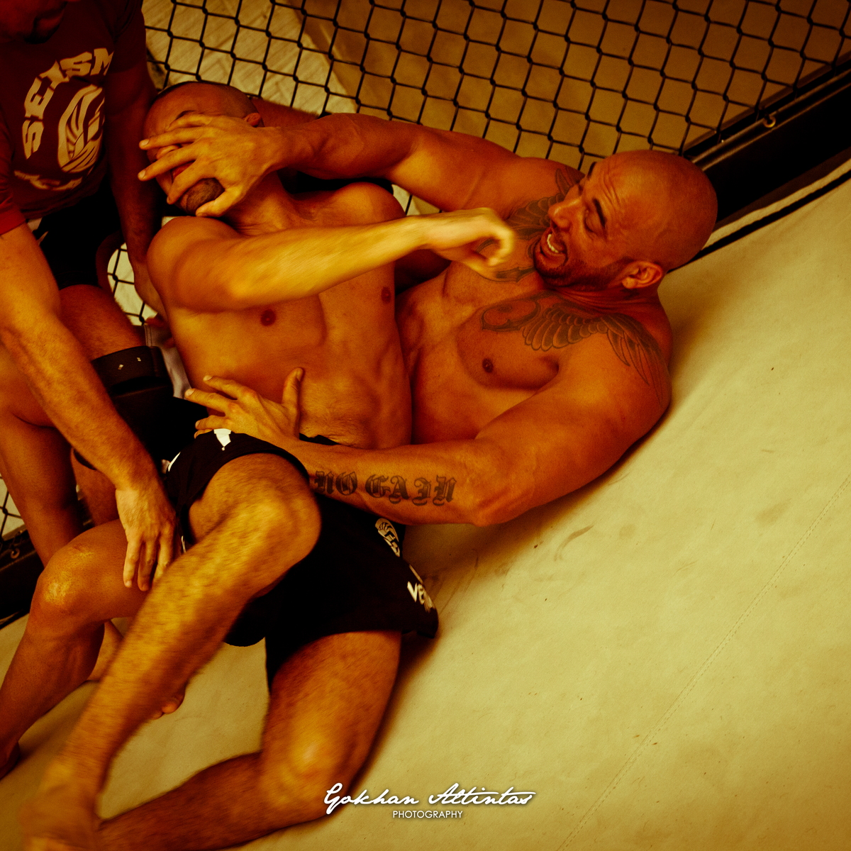 Seism Academy Free Fight UFC Entrainement