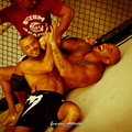 Seism Academy Free Fight UFC Entrainement