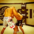 Seism Academy Free Fight UFC Entrainement