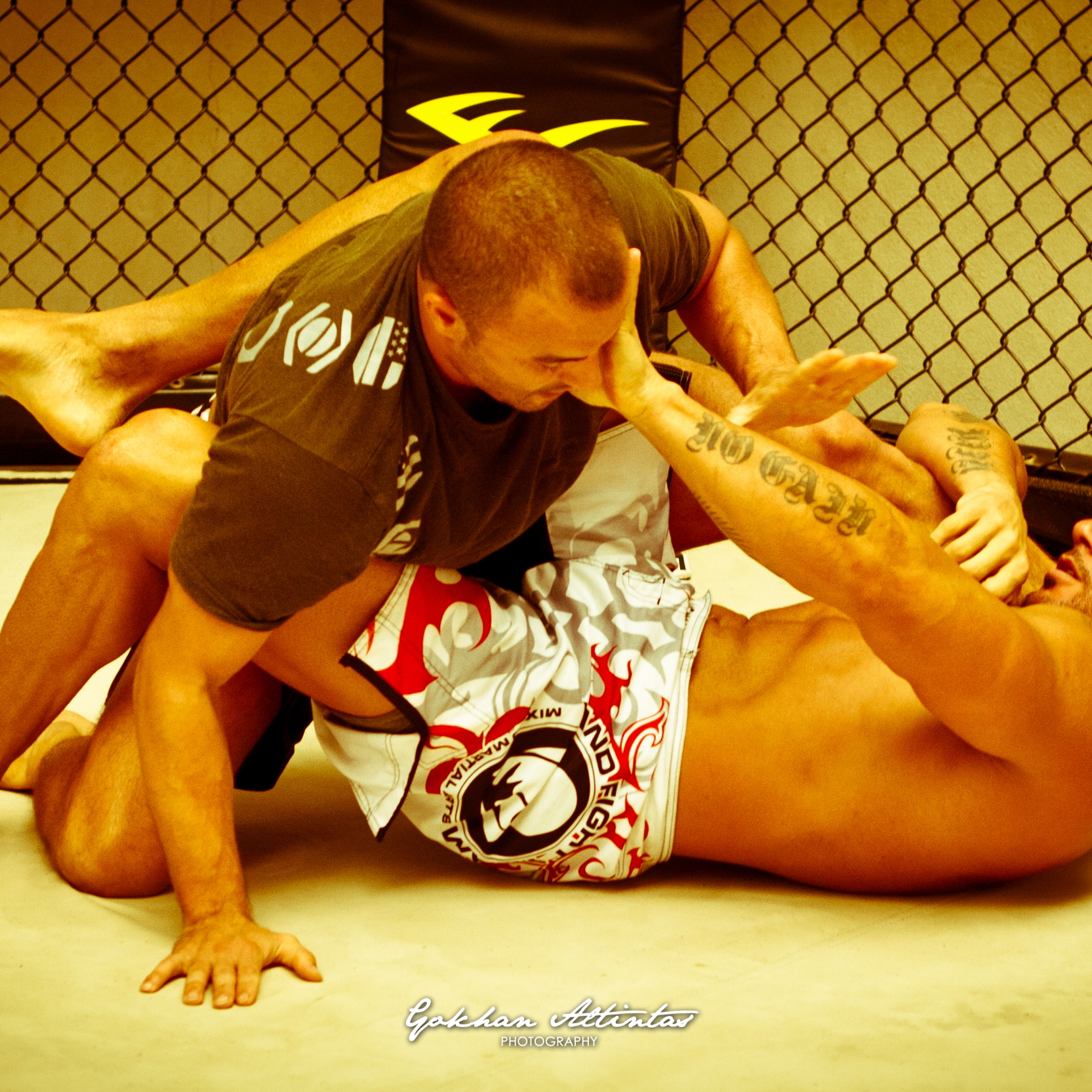 Seism Academy Free Fight UFC Entrainement
