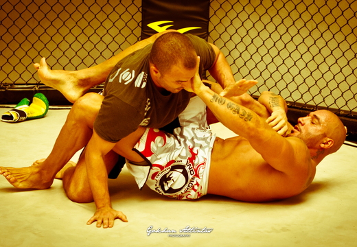 Seism Academy Free Fight UFC Entrainement