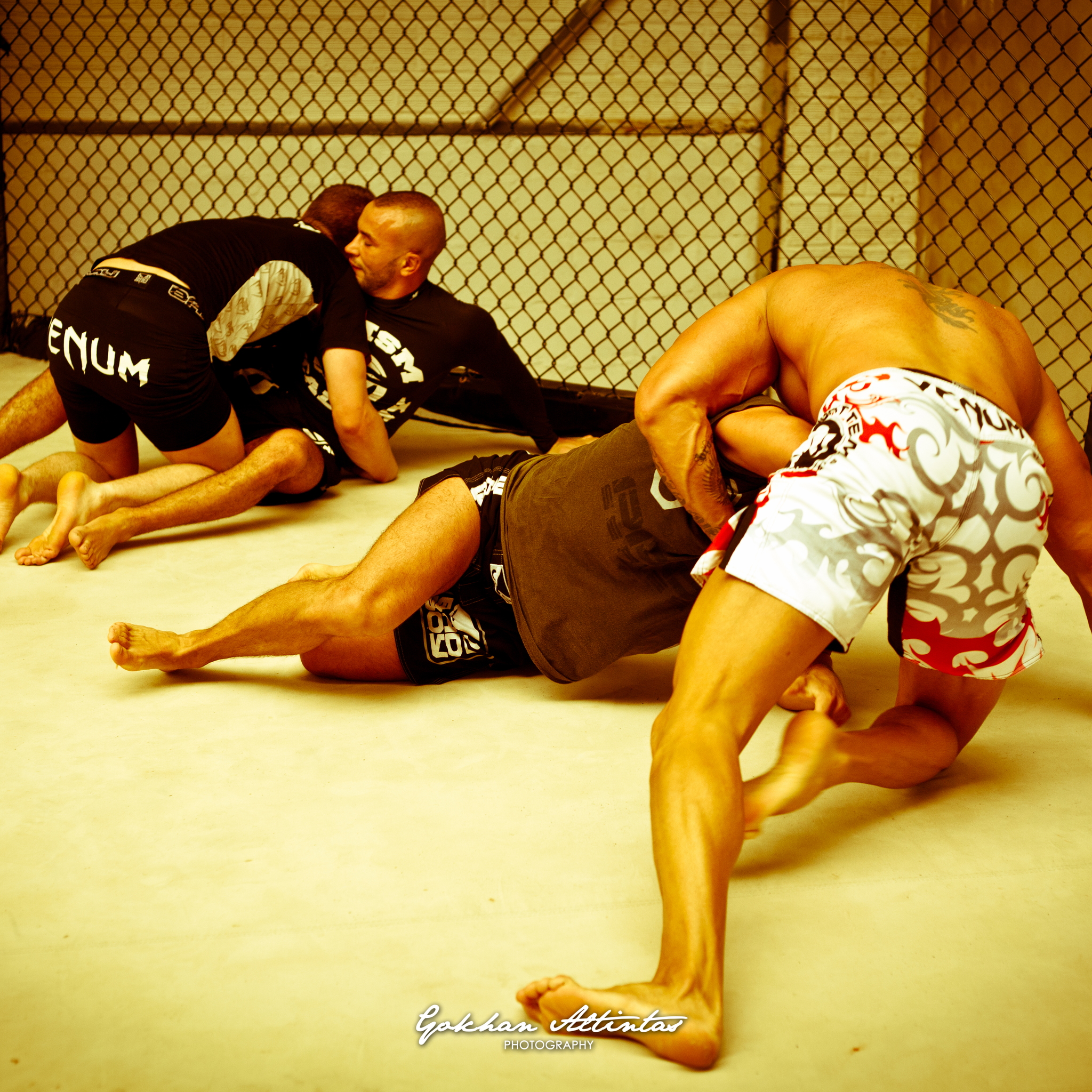 Seism Academy Free Fight UFC Entrainement