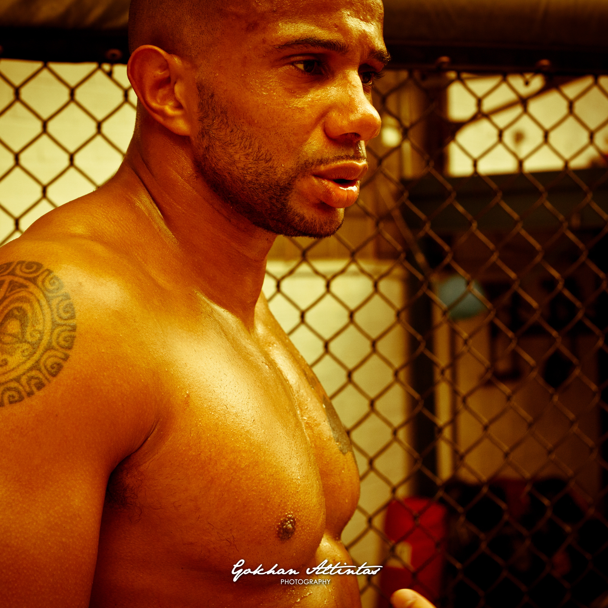 Seism Academy Free Fight UFC Entrainement