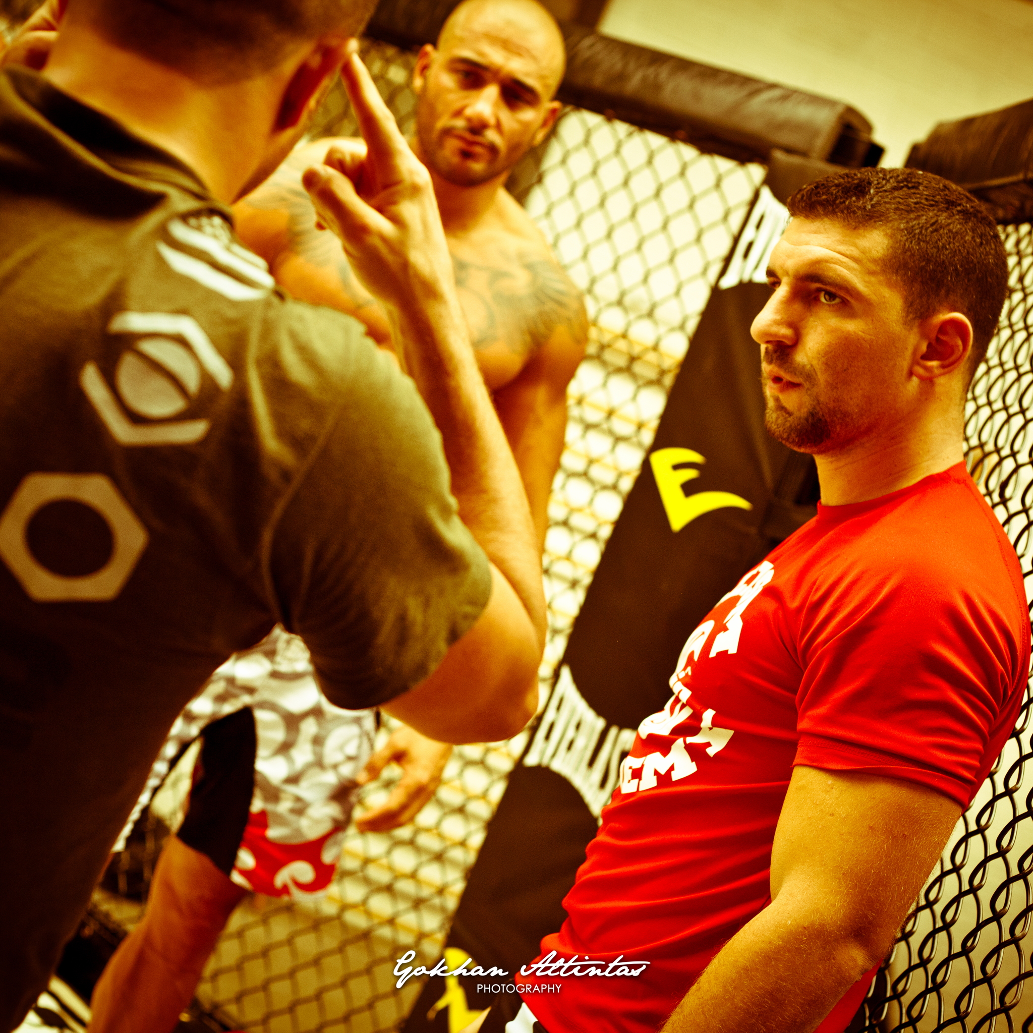Seism Academy Free Fight UFC Entrainement