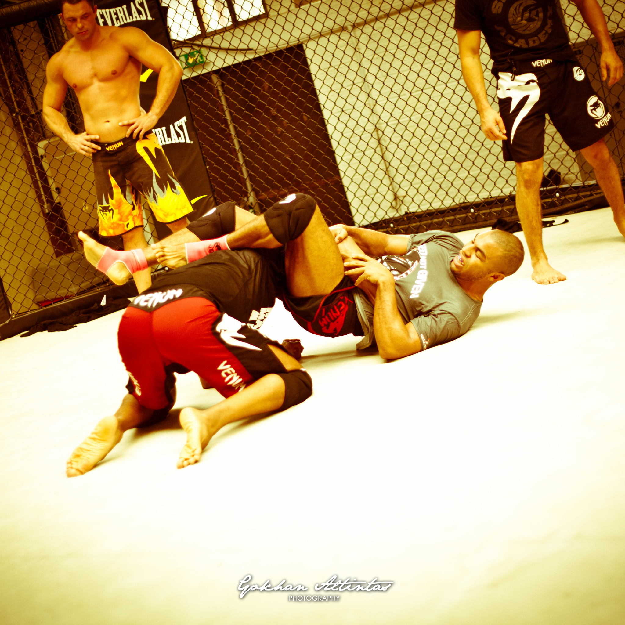 Seism Academy Free Fight UFC Entrainement