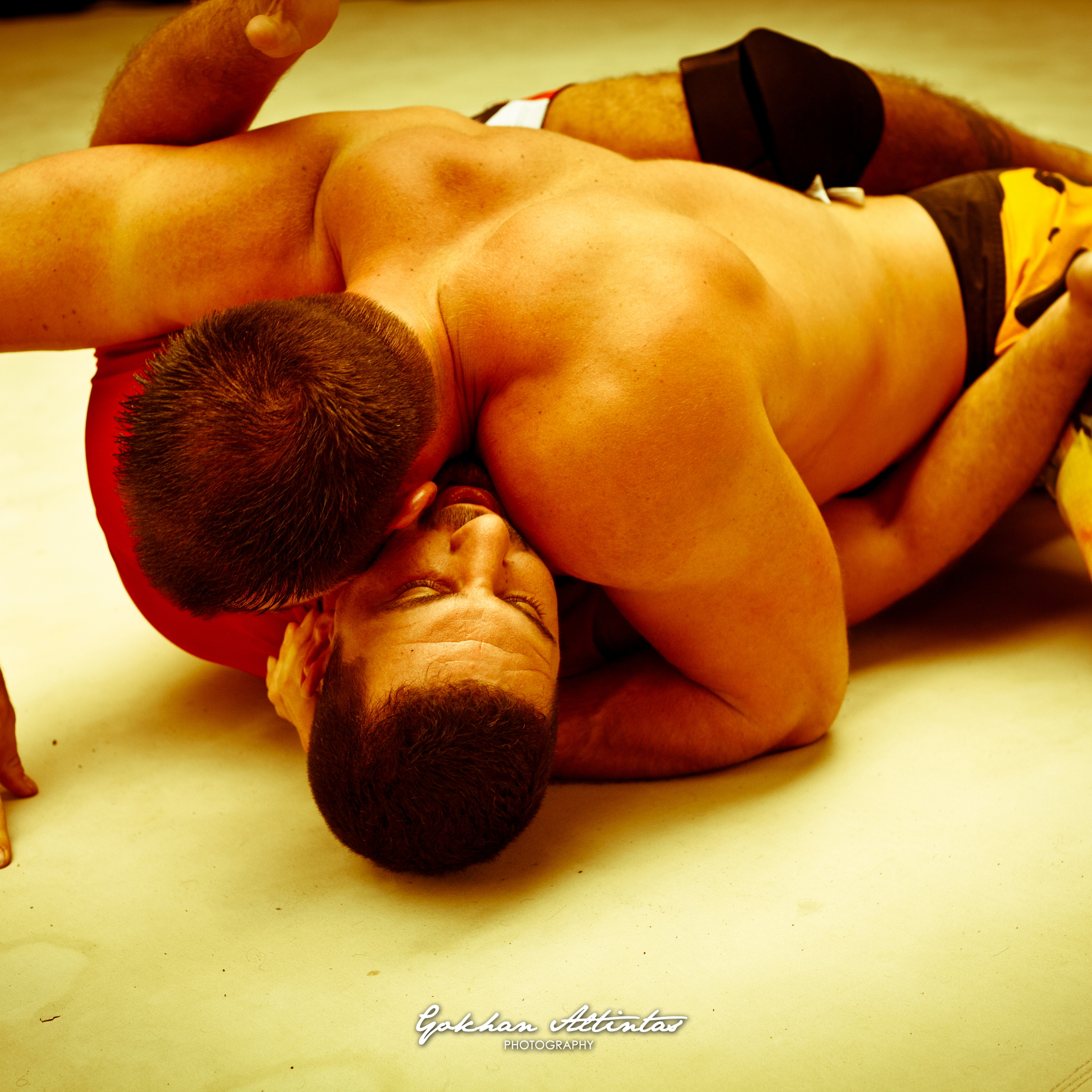 Seism Academy Free Fight UFC Entrainement