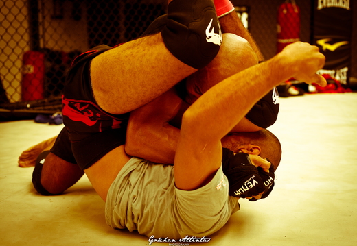 Seism Academy Free Fight UFC Entrainement