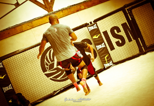 Seism Academy Free Fight UFC Entrainement