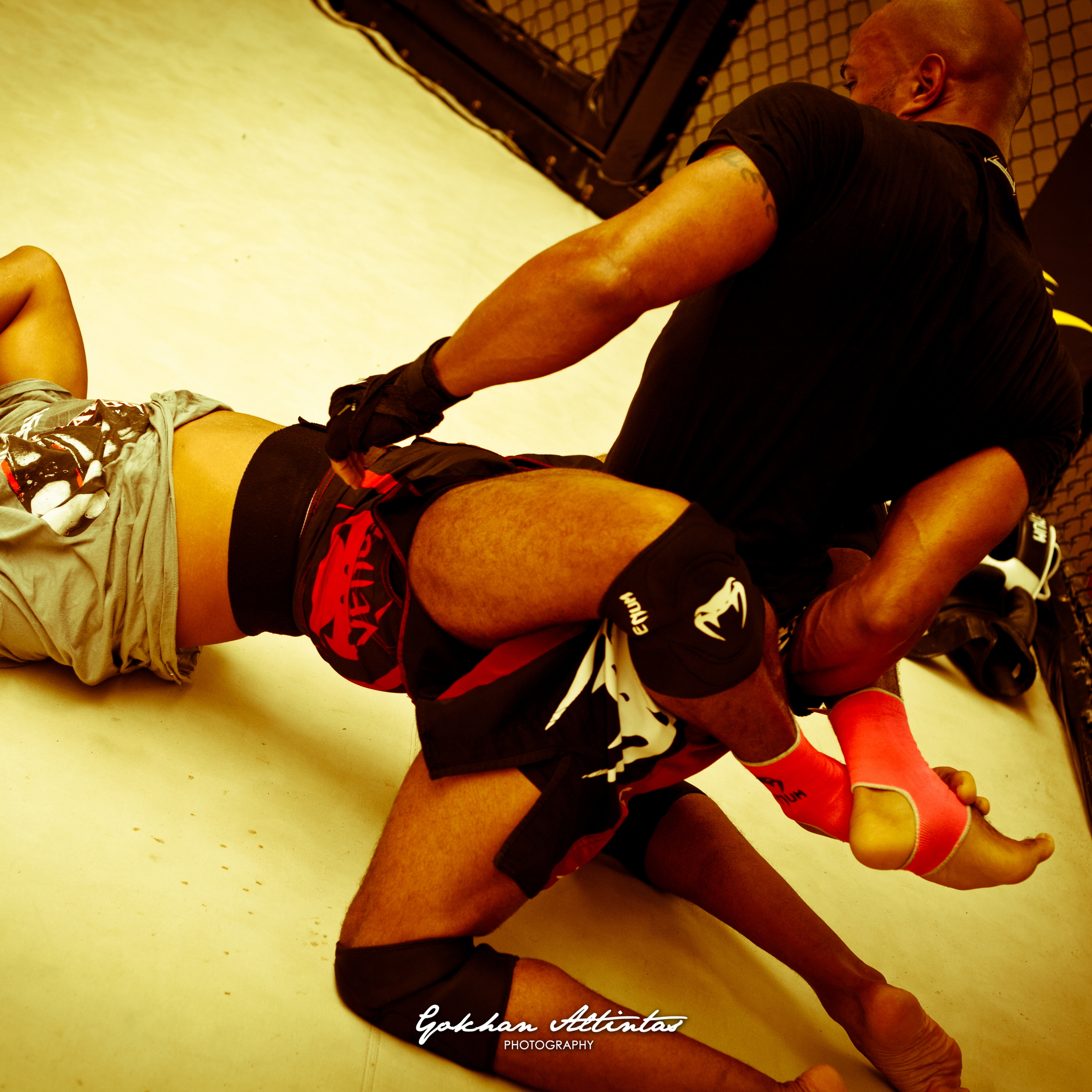 Seism Academy Free Fight UFC Entrainement