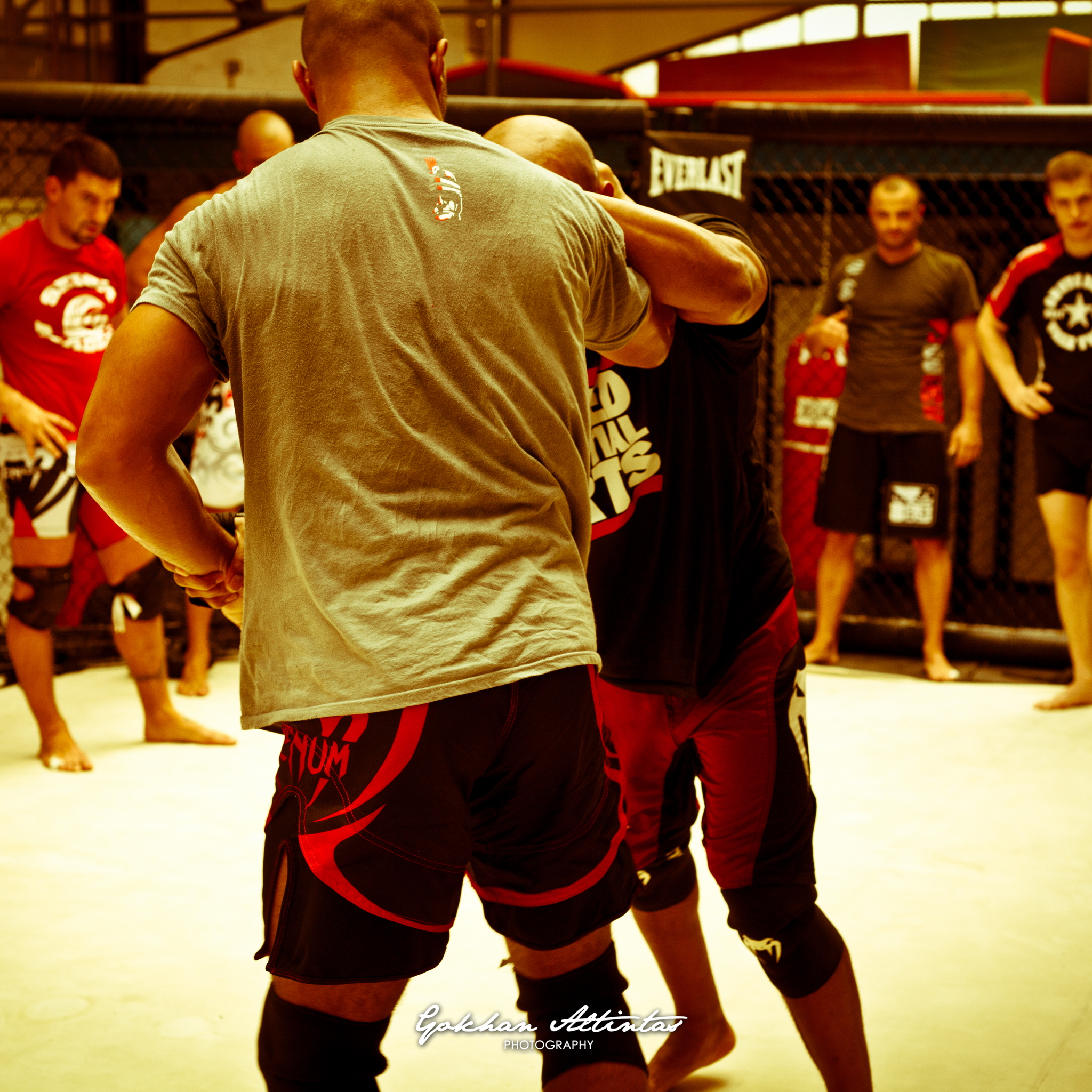 Seism Academy Free Fight UFC Entrainement