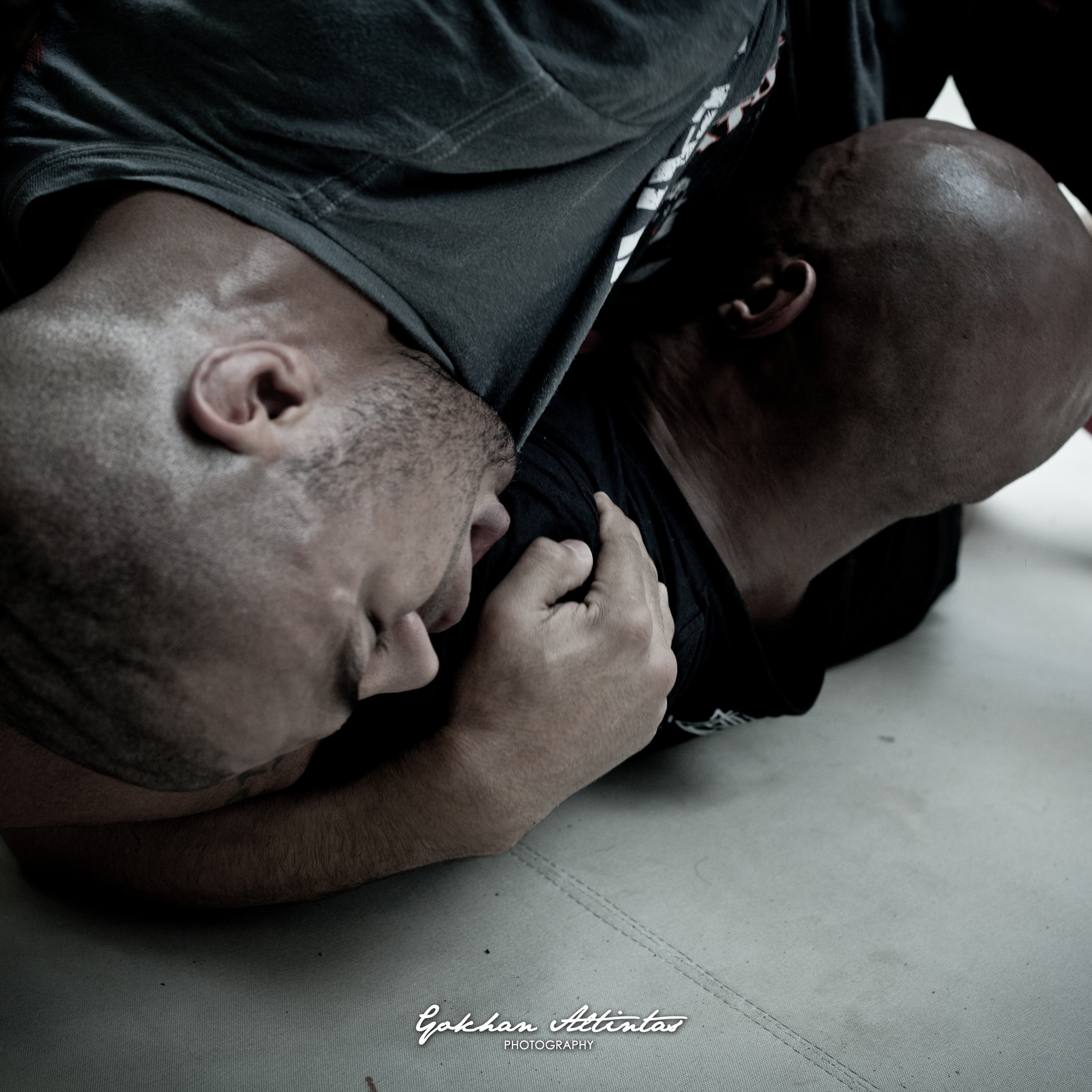 Seism Academy Free Fight UFC Entrainement
