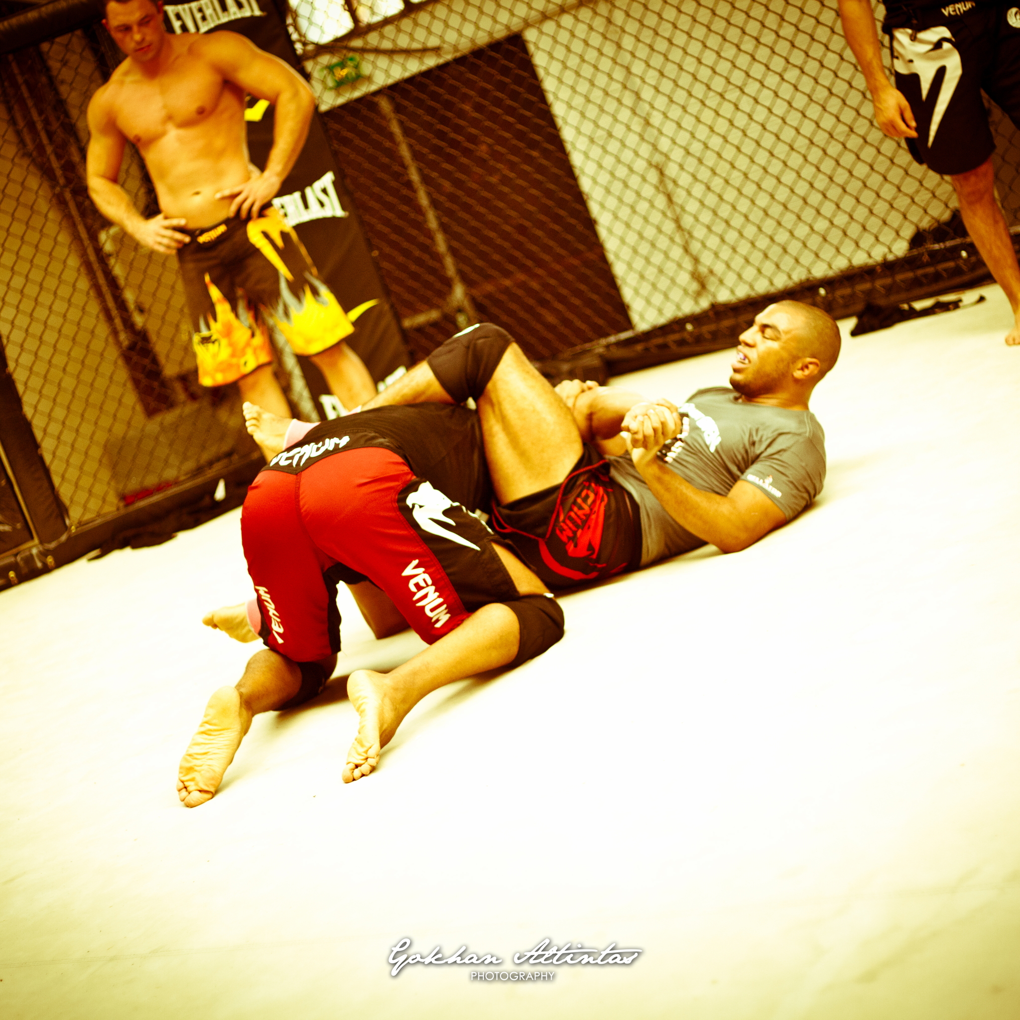 Seism Academy Free Fight UFC Entrainement
