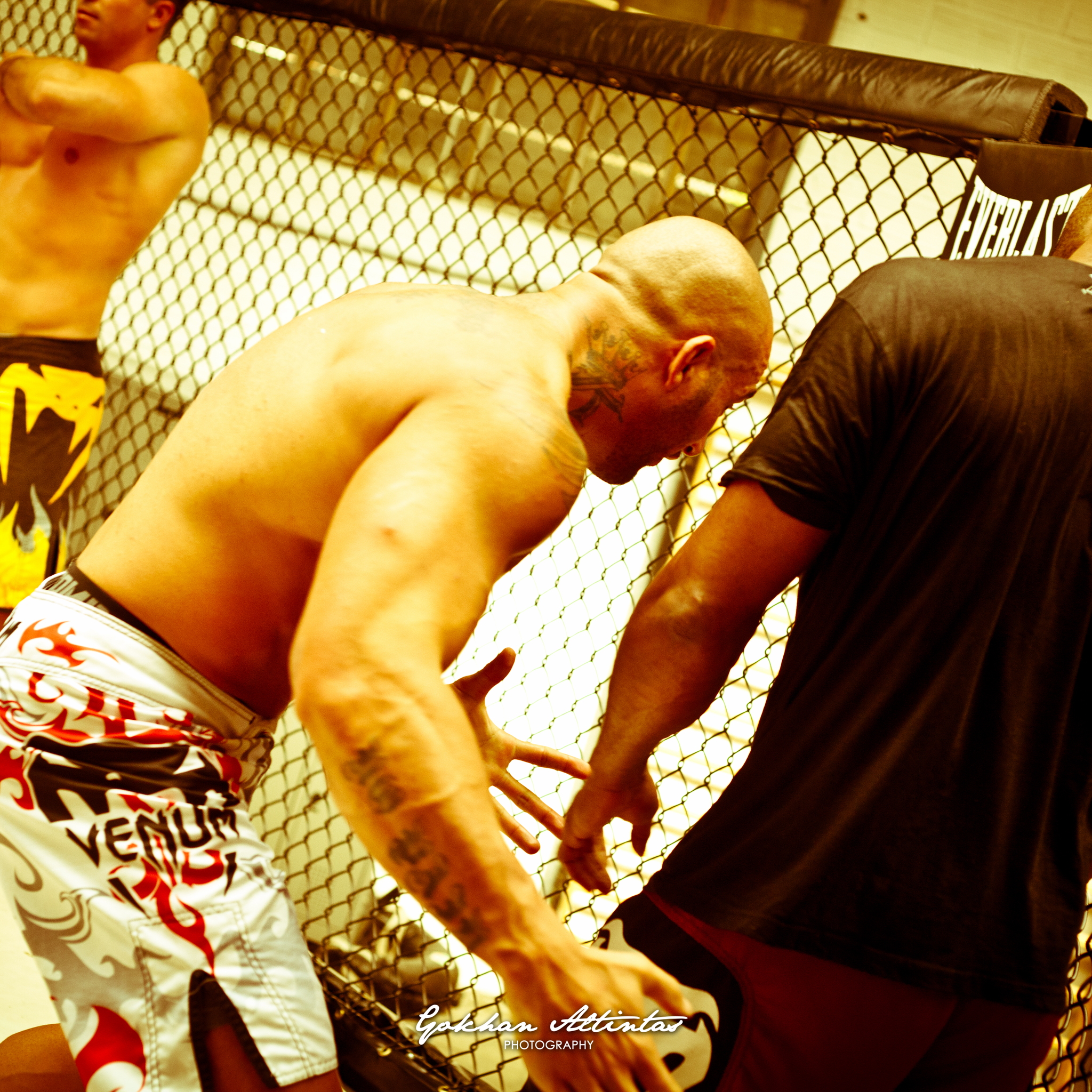 Seism Academy Free Fight UFC Entrainement