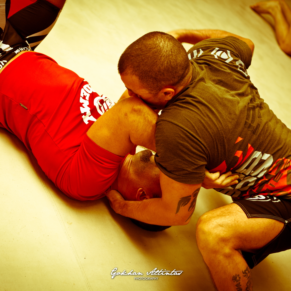 Seism Academy Free Fight UFC Entrainement