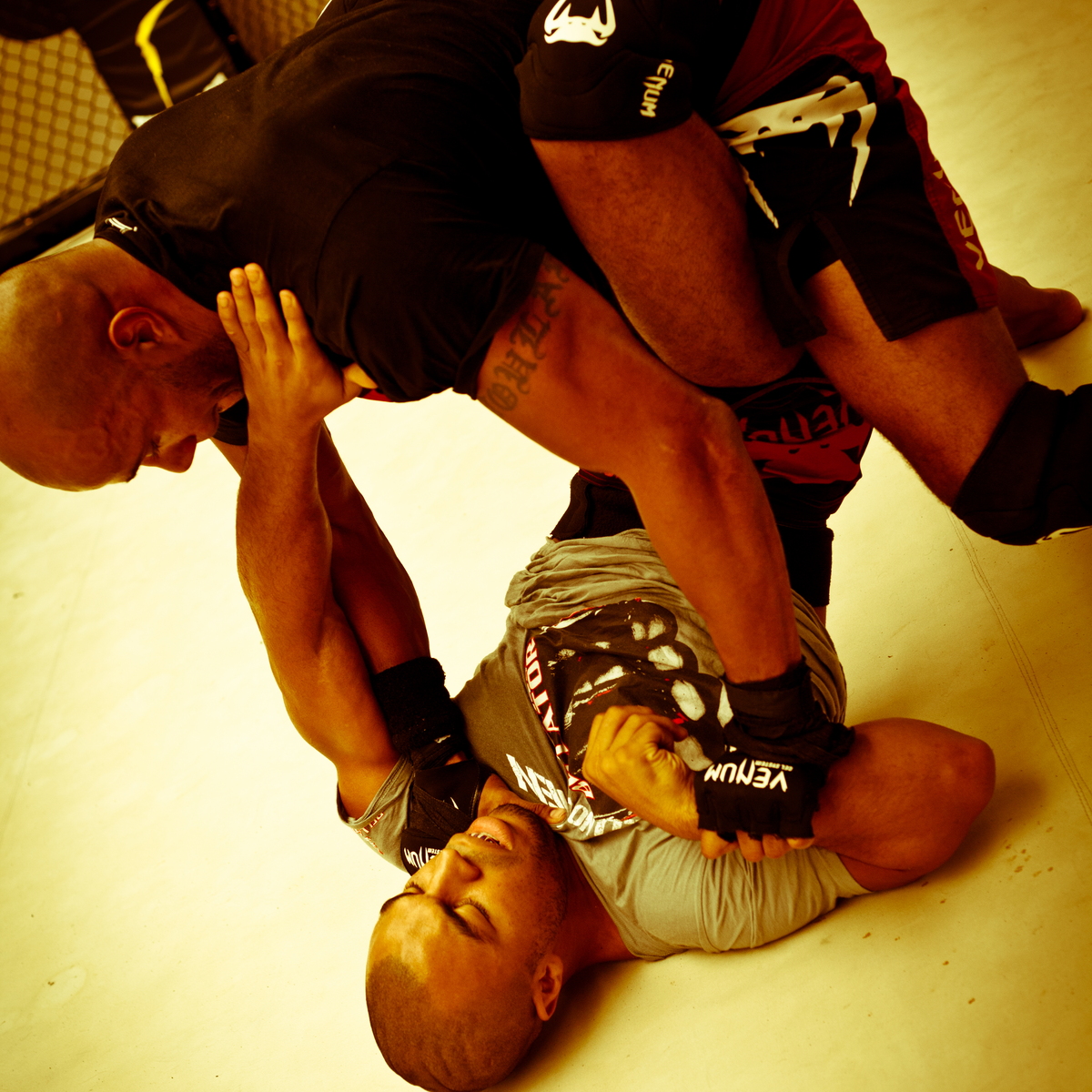 Seism Academy Free Fight UFC Entrainement