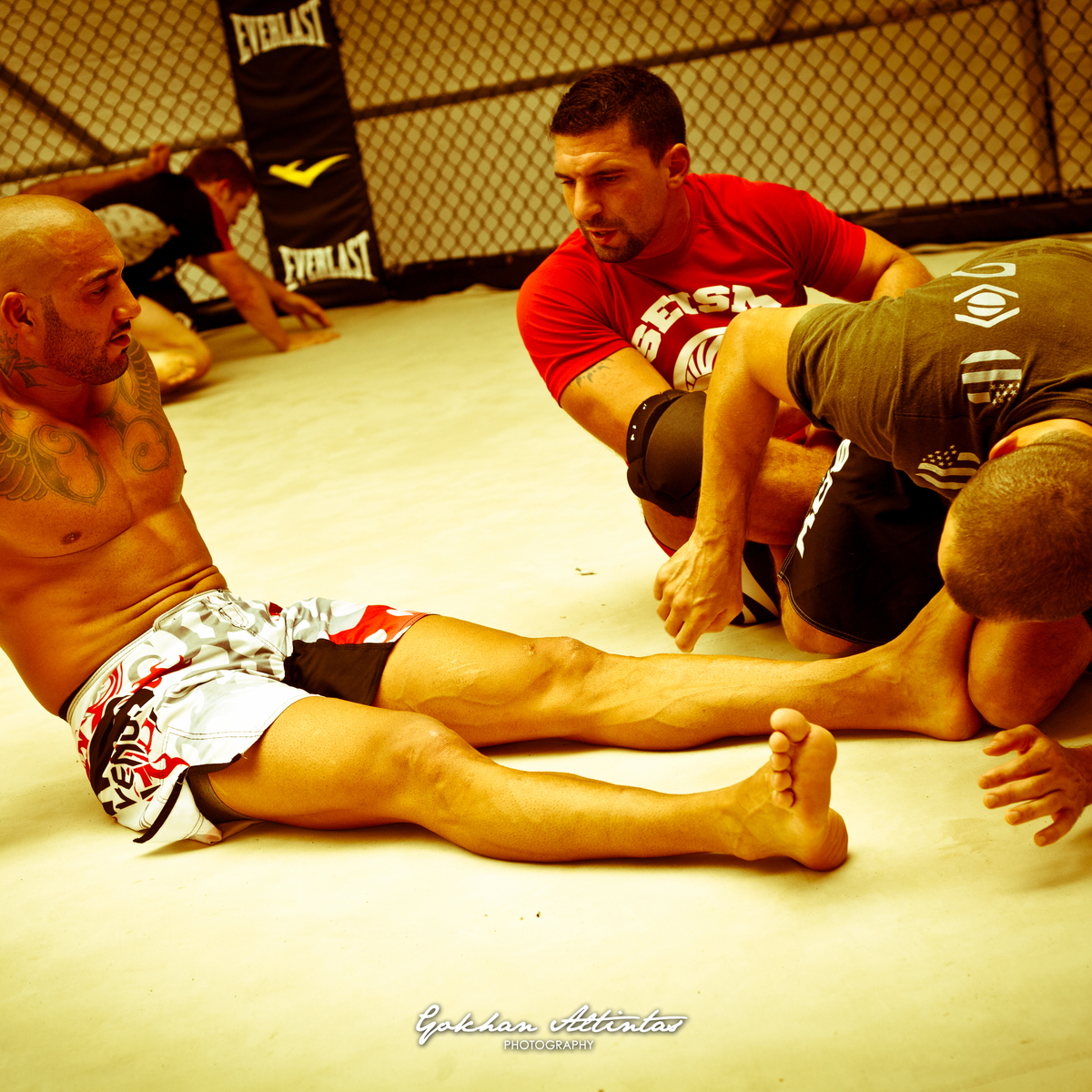 Seism Academy Free Fight UFC Entrainement