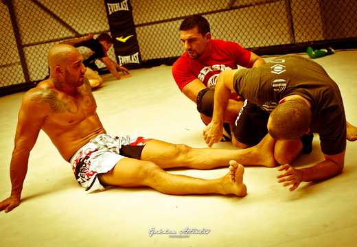Seism Academy Free Fight UFC Entrainement