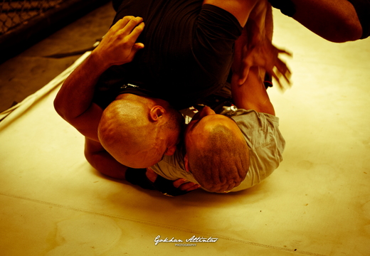 Seism Academy Free Fight UFC Entrainement