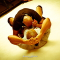 Seism Academy Free Fight UFC Entrainement