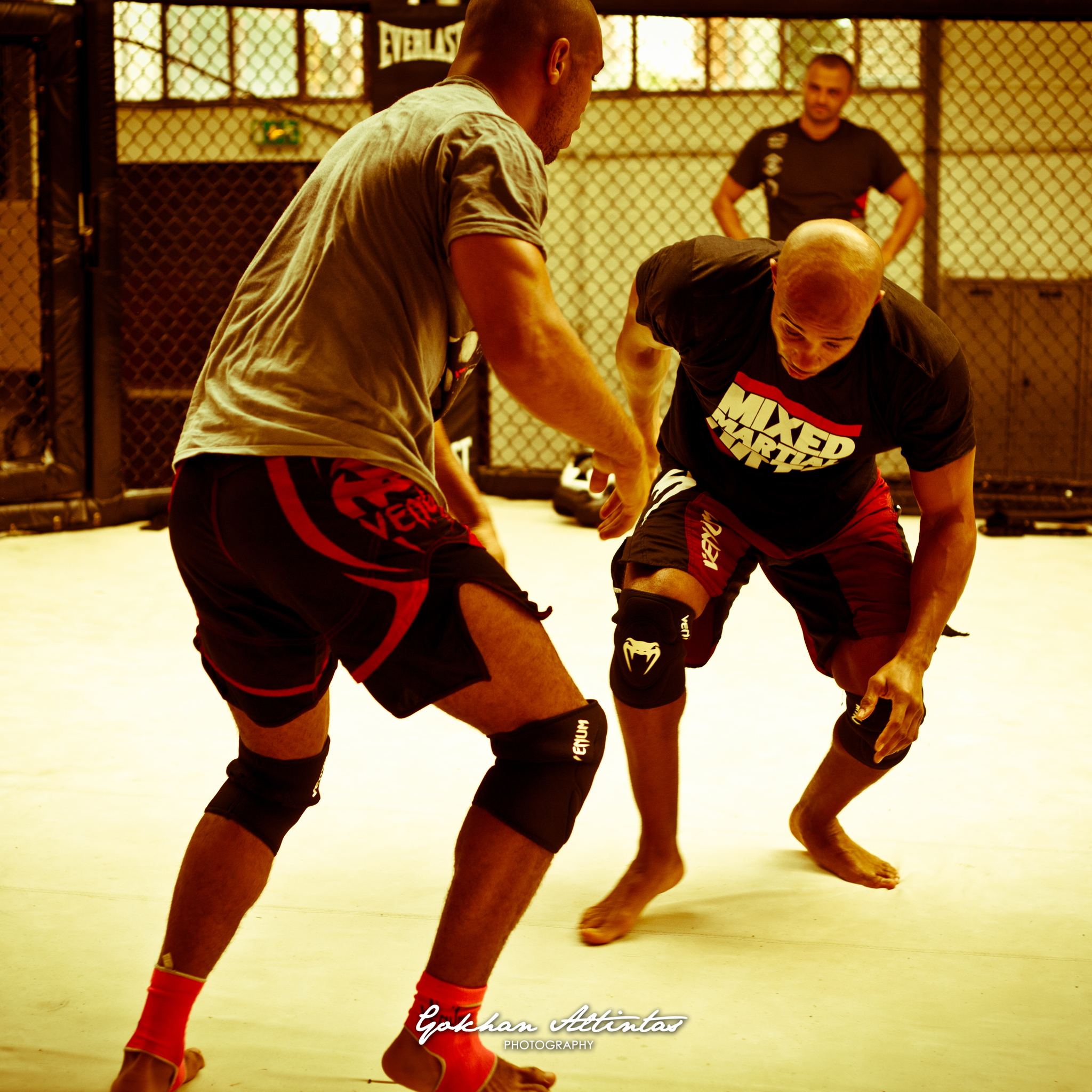 Seism Academy Free Fight UFC Entrainement