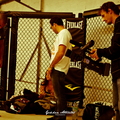 Seism Academy Free Fight UFC Entrainement