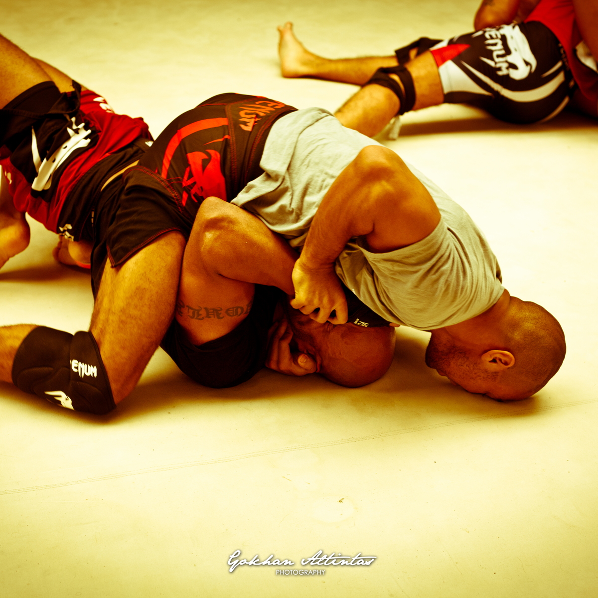 Seism Academy Free Fight UFC Entrainement