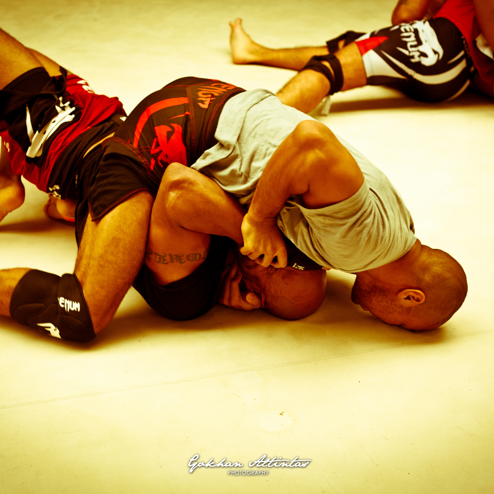 Seism Academy Free Fight UFC Entrainement