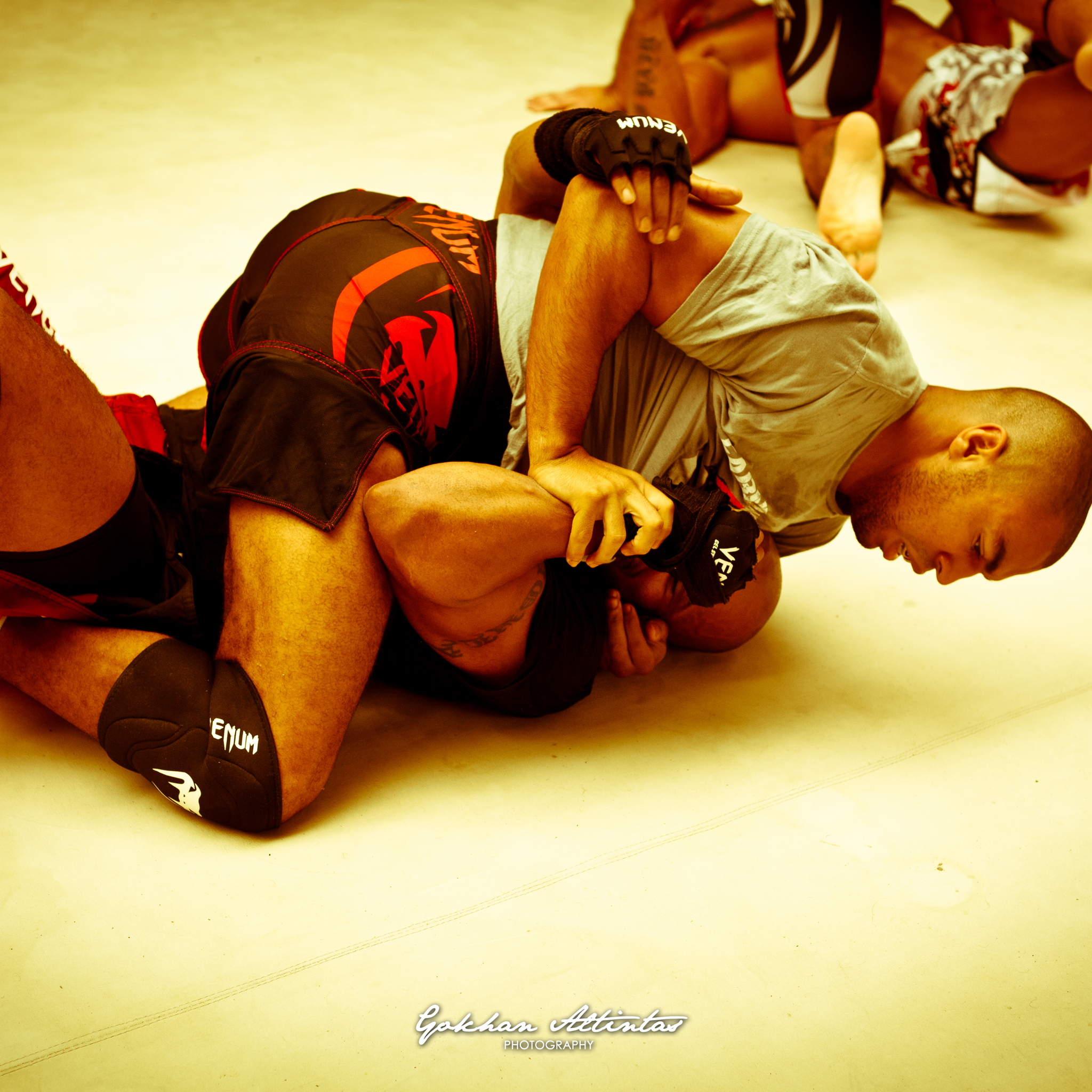 Seism Academy Free Fight UFC Entrainement