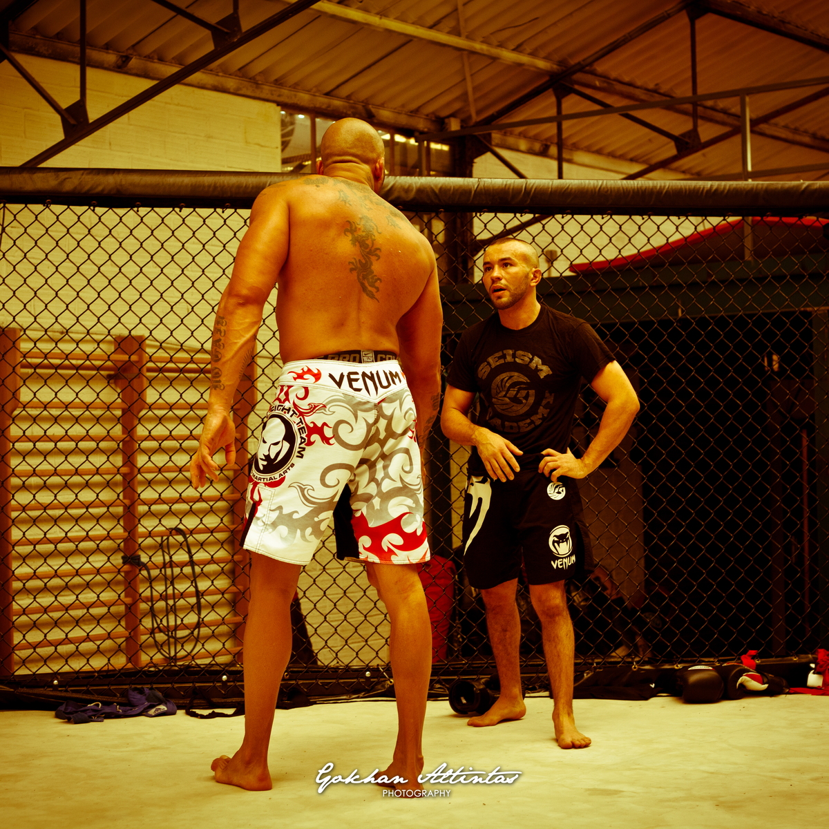 Seism Academy Free Fight UFC Entrainement