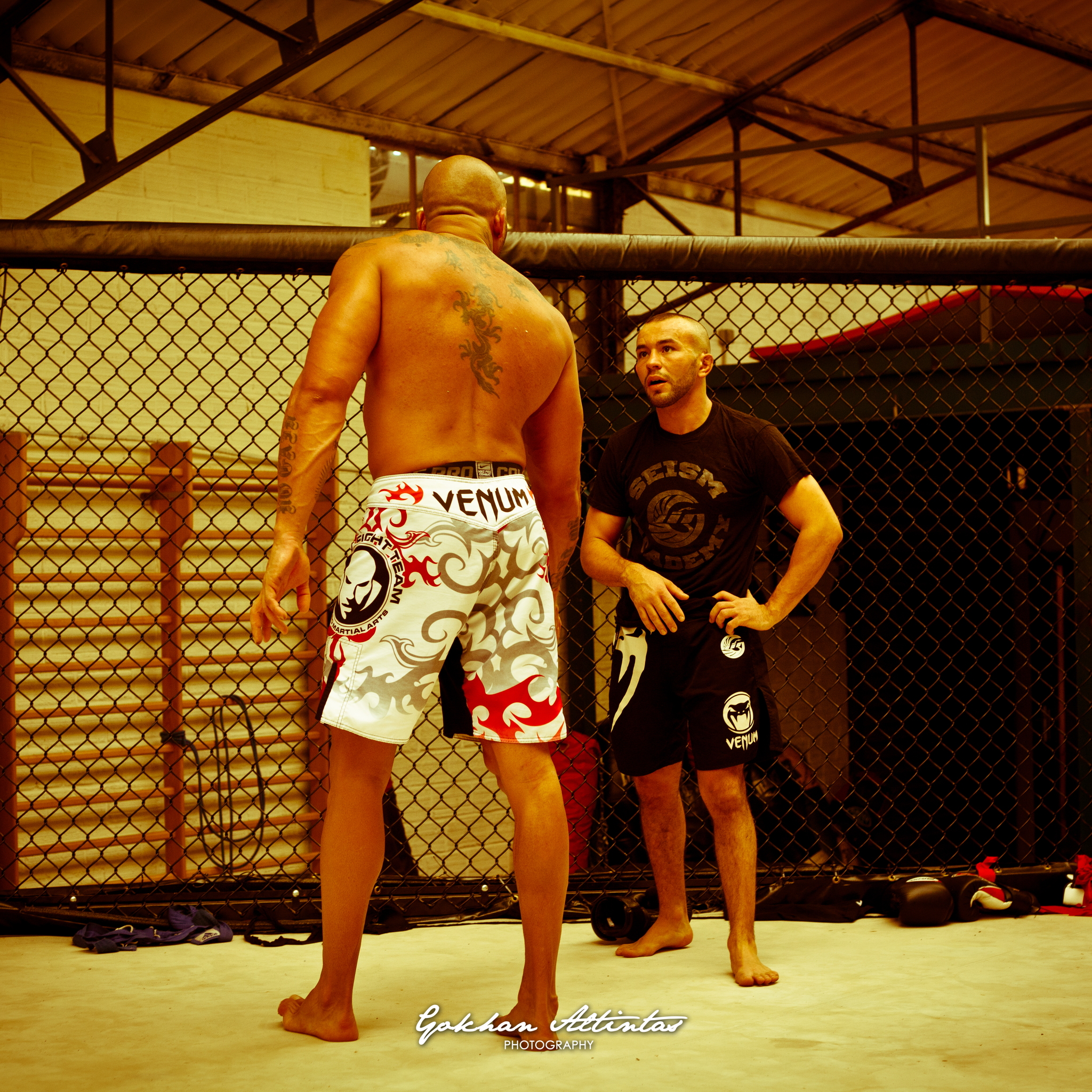 Seism Academy Free Fight UFC Entrainement