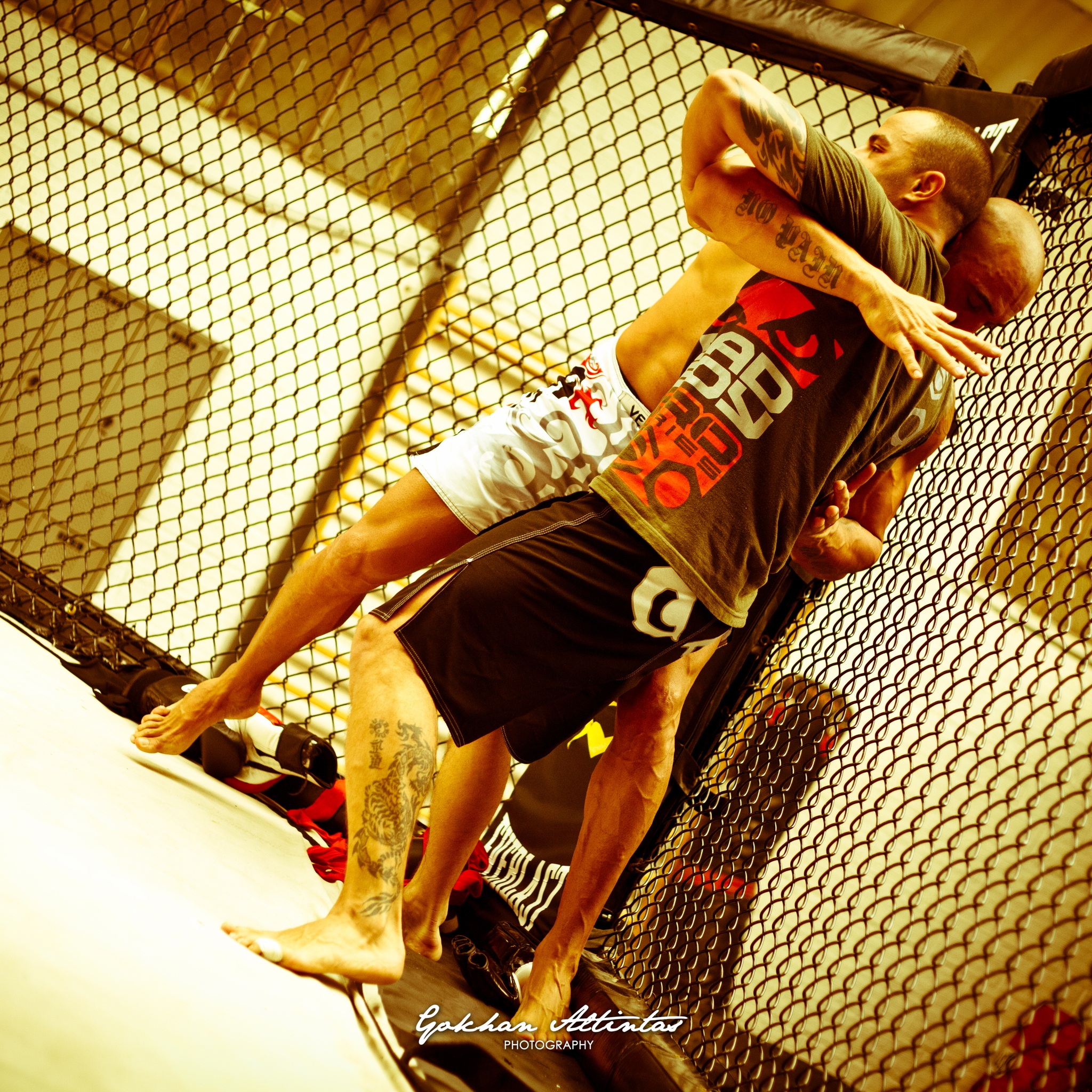 Seism Academy Free Fight UFC Entrainement