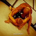 Seism Academy Free Fight UFC Entrainement