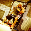 Seism Academy Free Fight UFC Entrainement