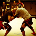 Seism Academy Free Fight UFC Entrainement
